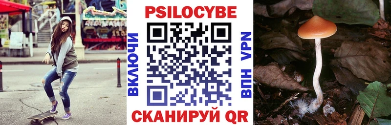 Галлюциногенные грибы Psilocybe Анива